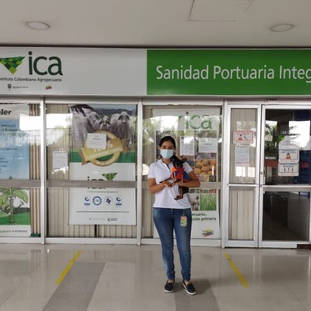 presentacion-ICA-safemascotas-26
