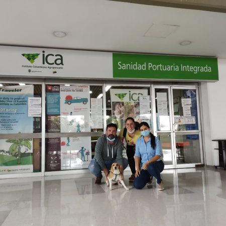 presentacion-ICA-safemascotas-57