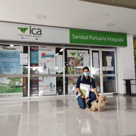 presentacion-ICA-safemascotas-70
